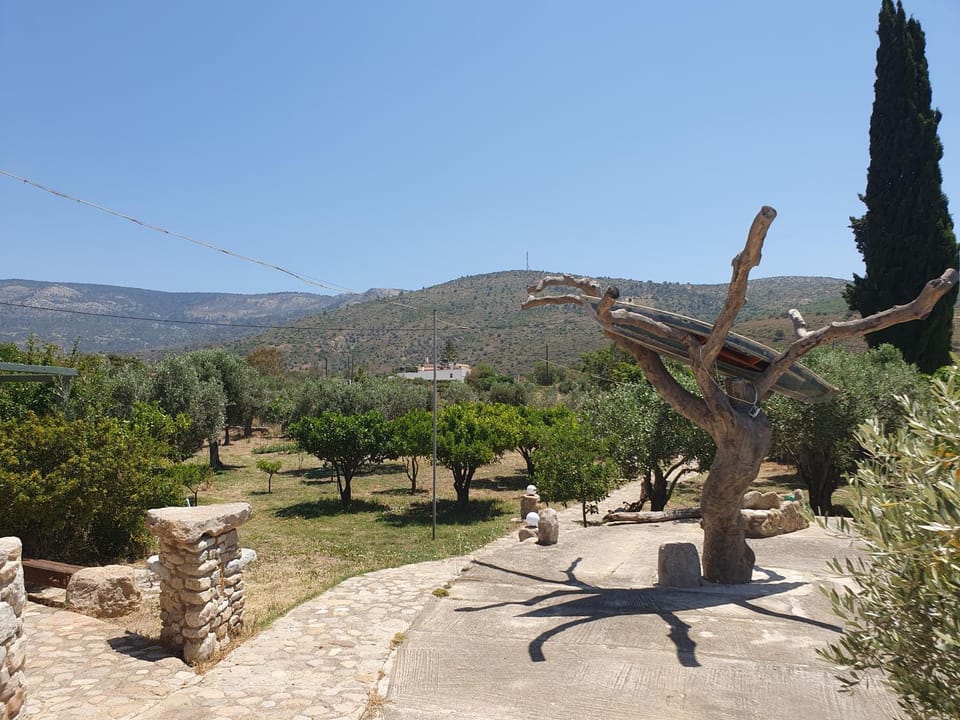 Natural landscape, Garden, Garden view