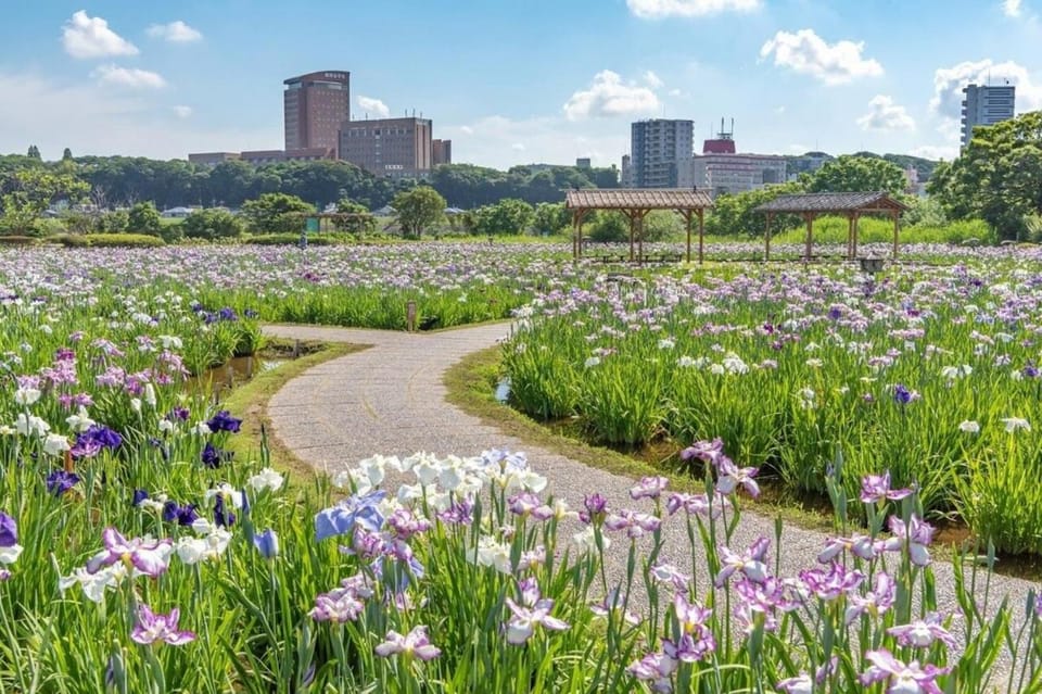 tkm北小岩1丁目201 Apartment in Japan