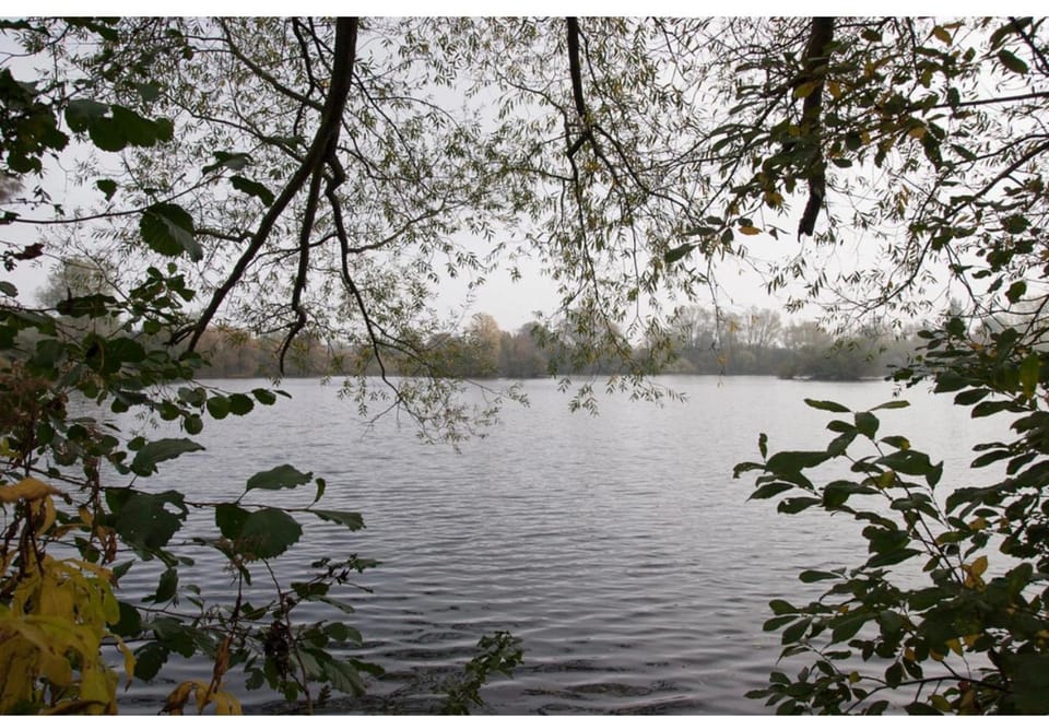 Natural landscape, Lake view