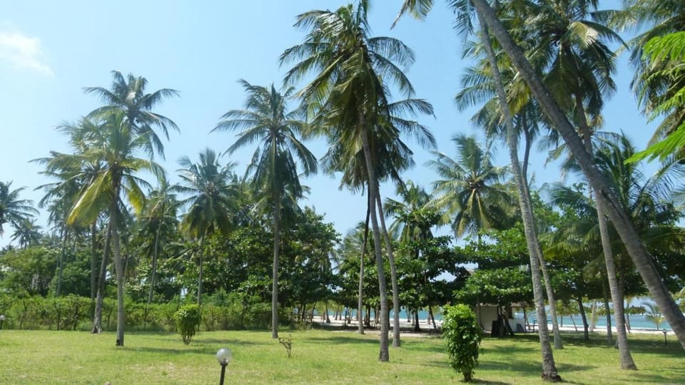 The Bird House, Diani Apartment in Diani Beach