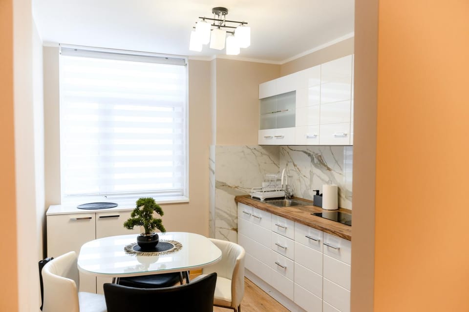 Kitchen or kitchenette, Dining area, stove