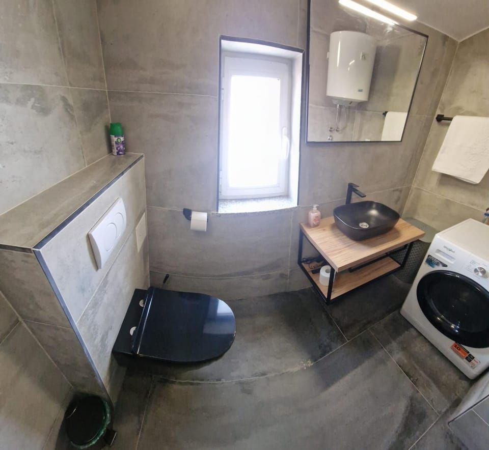 Toilet, washing machine