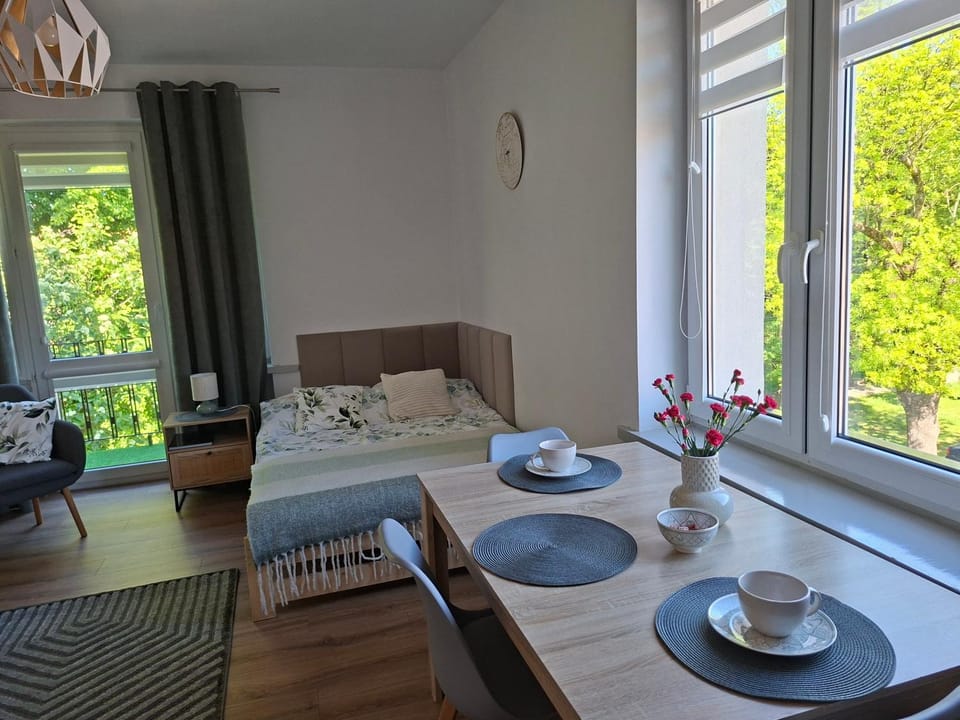 Apartament VERDE Malbork centrum Apartment in Pomeranian Voivodeship