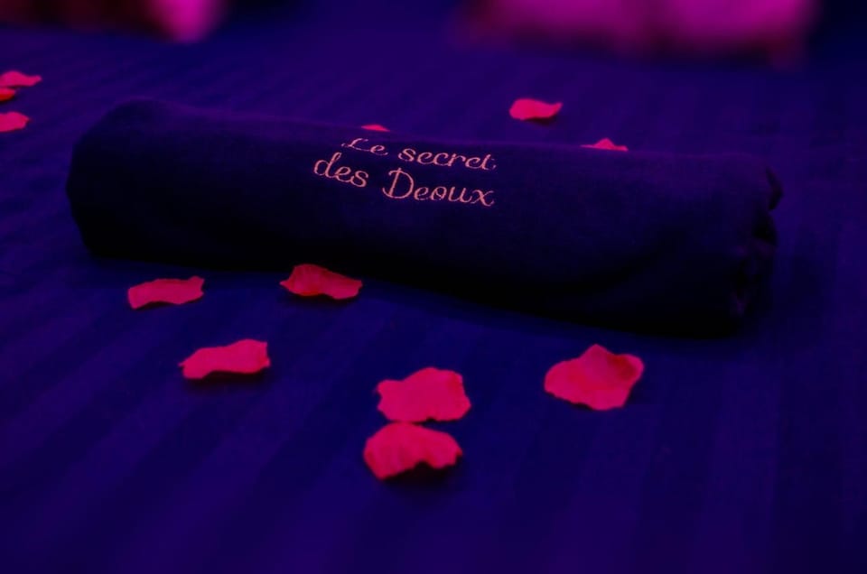 Le secret des déoux love room House in French Riviera