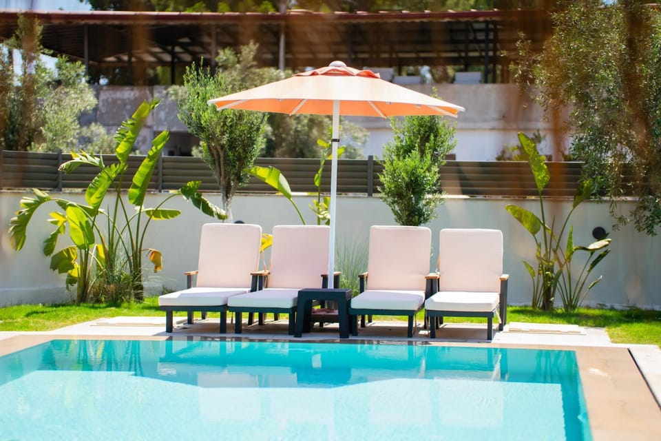 Garden, Swimming pool, sunbed