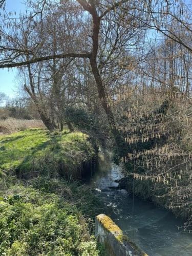 Natural landscape