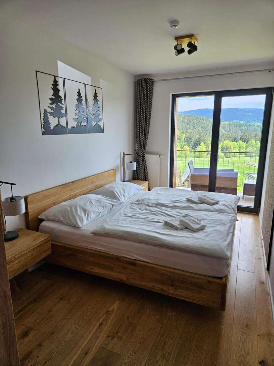Ski a Bike Siréna Janské lázně APARTMENT 204 Apartment in Lower Silesian Voivodeship
