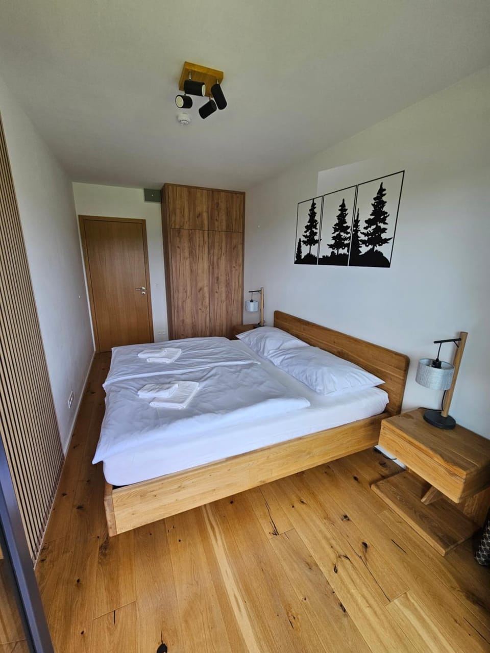 Ski a Bike Siréna Janské lázně APARTMENT 204 Apartment in Lower Silesian Voivodeship