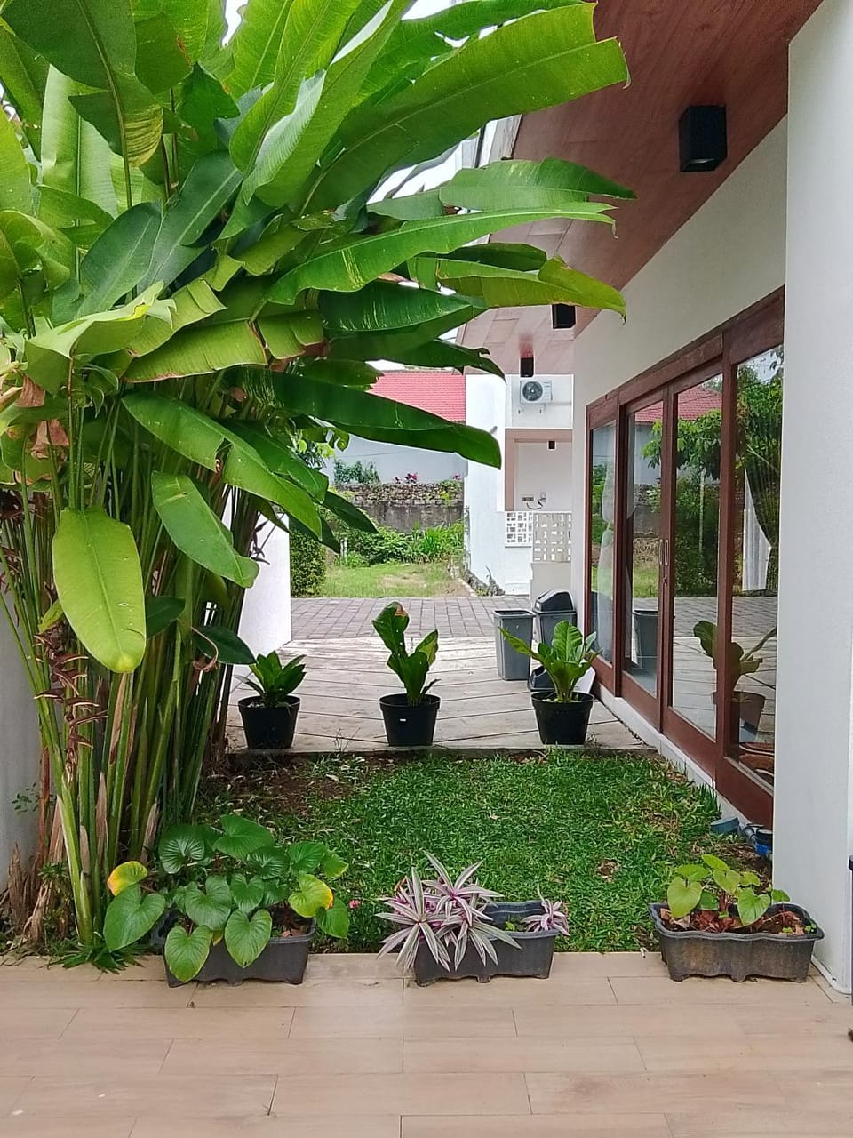 Garden view