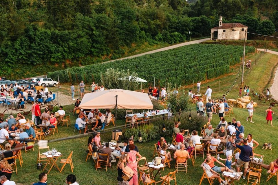 Spring, People, Food and drinks, Banquet/Function facilities, Food, Guests, Garden view