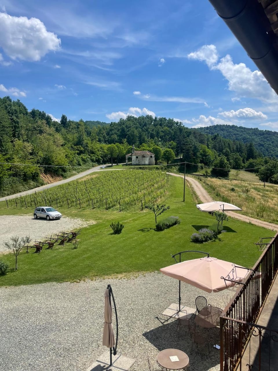 Natural landscape, Garden, Garden view