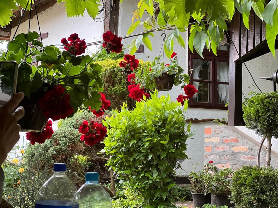 Etno kuća Danica Apartment in Serbia