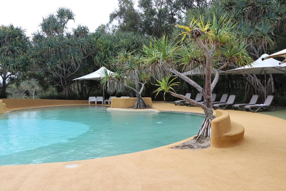 Pool view, Swimming pool