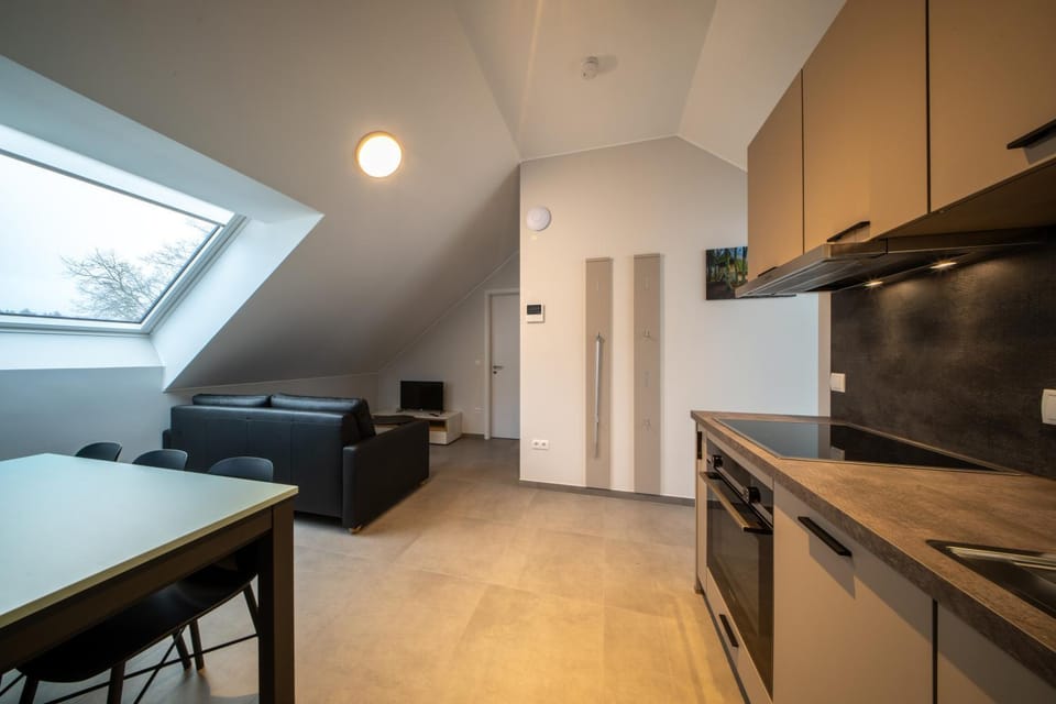 Kitchen or kitchenette, Living room, Seating area, Dining area