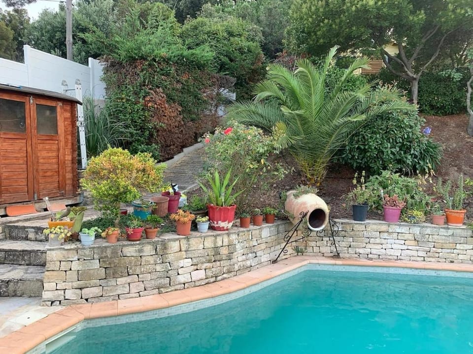 Day, Garden, Garden view, Pool view
