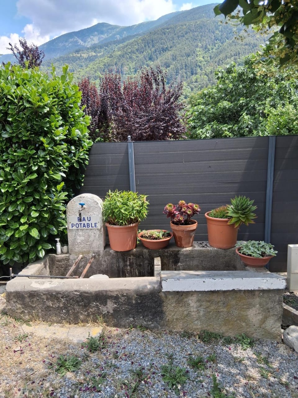 Garden view