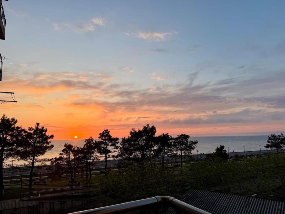 Cozy Beachside Flat Apartment in Adjara, Georgia