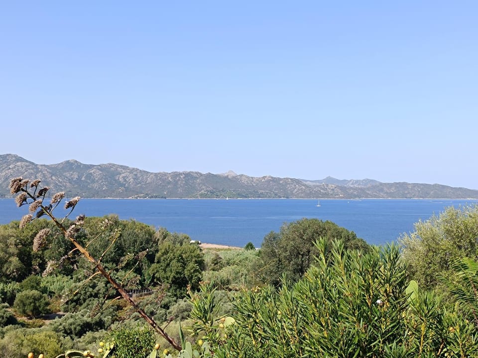 Sea view