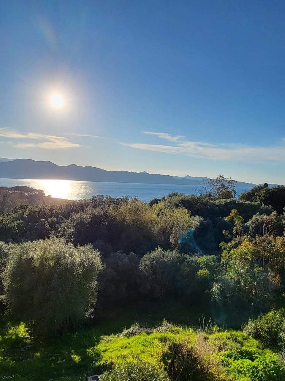 Sea view