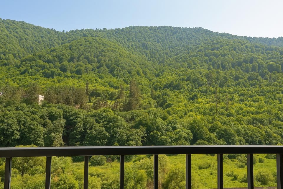 Dilijan Nature House Apartment in Armenia