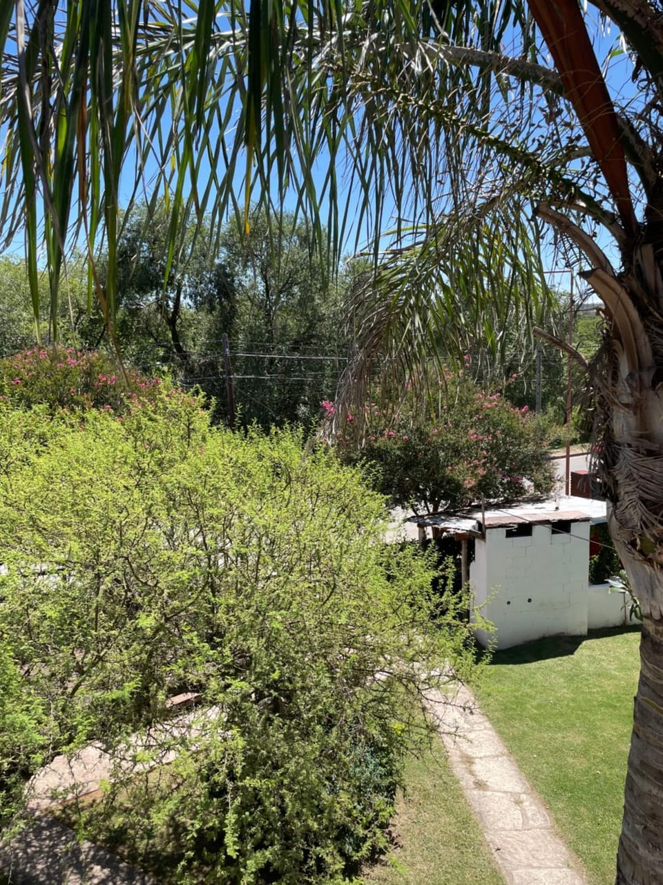 View (from property/room)