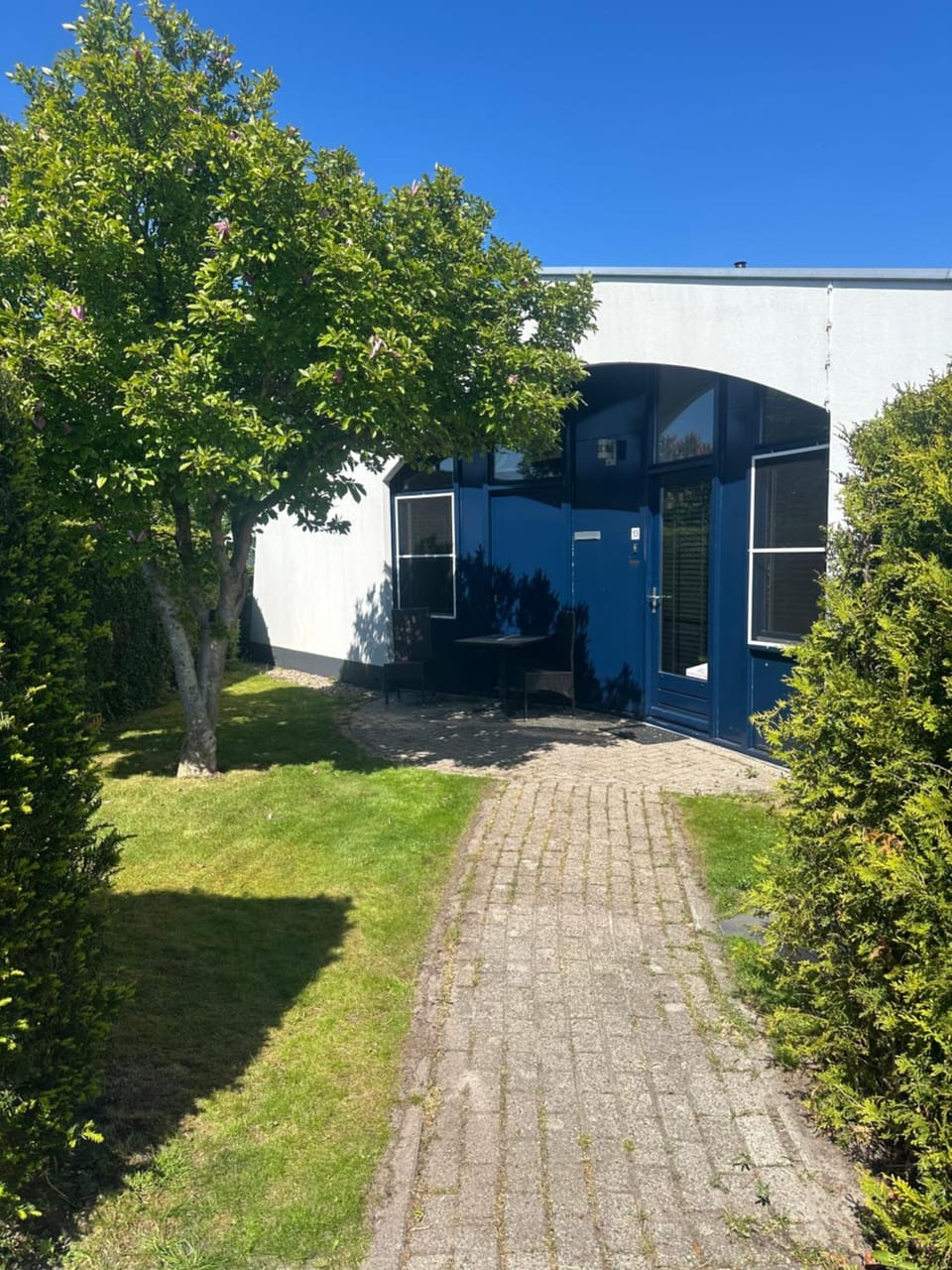 Property building, Day, Garden
