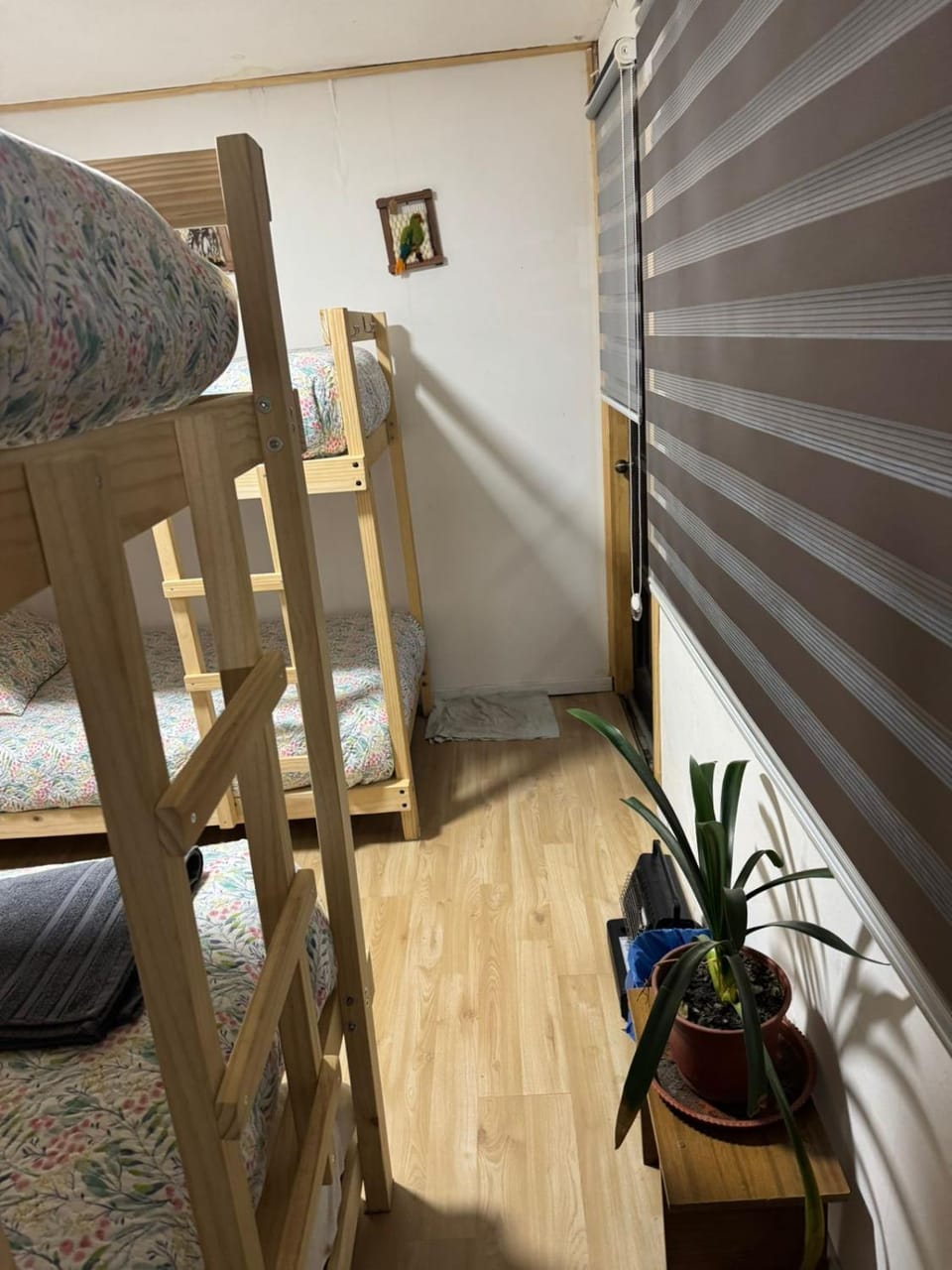 Bed, Photo of the whole room, Bedroom, bunk bed