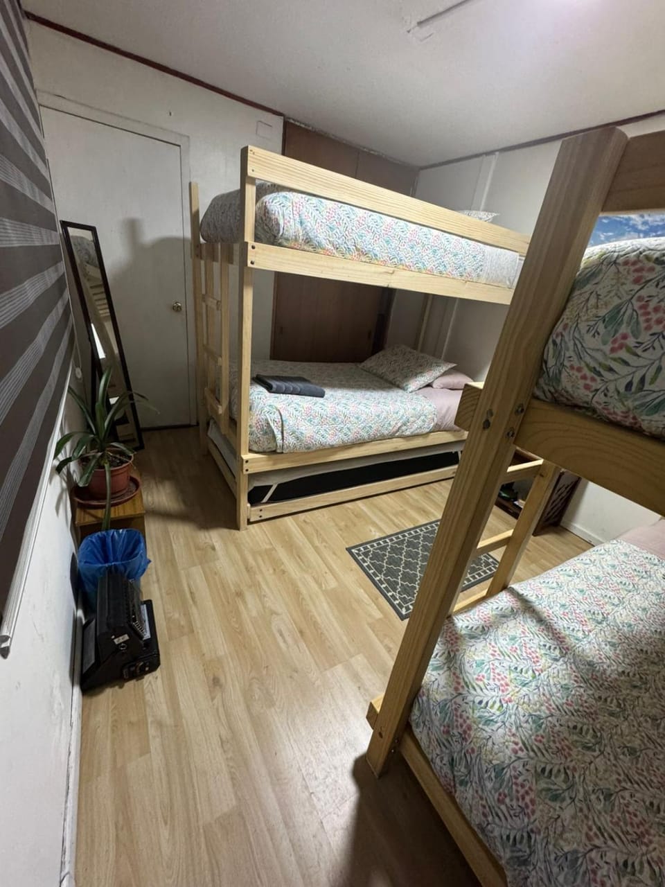 Photo of the whole room, Bedroom, bunk bed