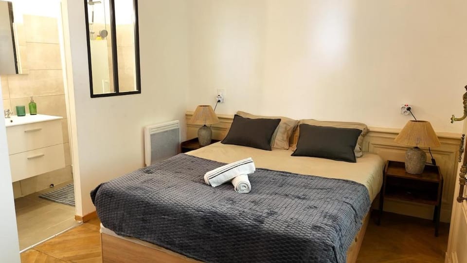 CHARME 1850, climatisé et cinéma Apartment in Montpellier
