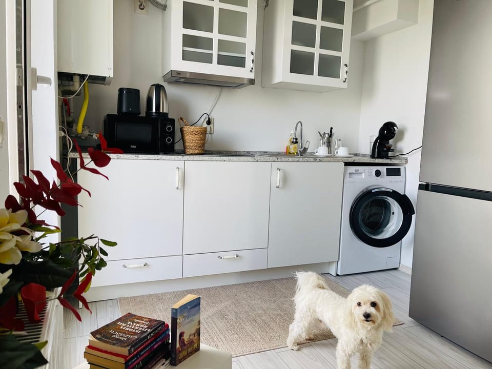 Studio Dumy near Airport Apartment in Romania