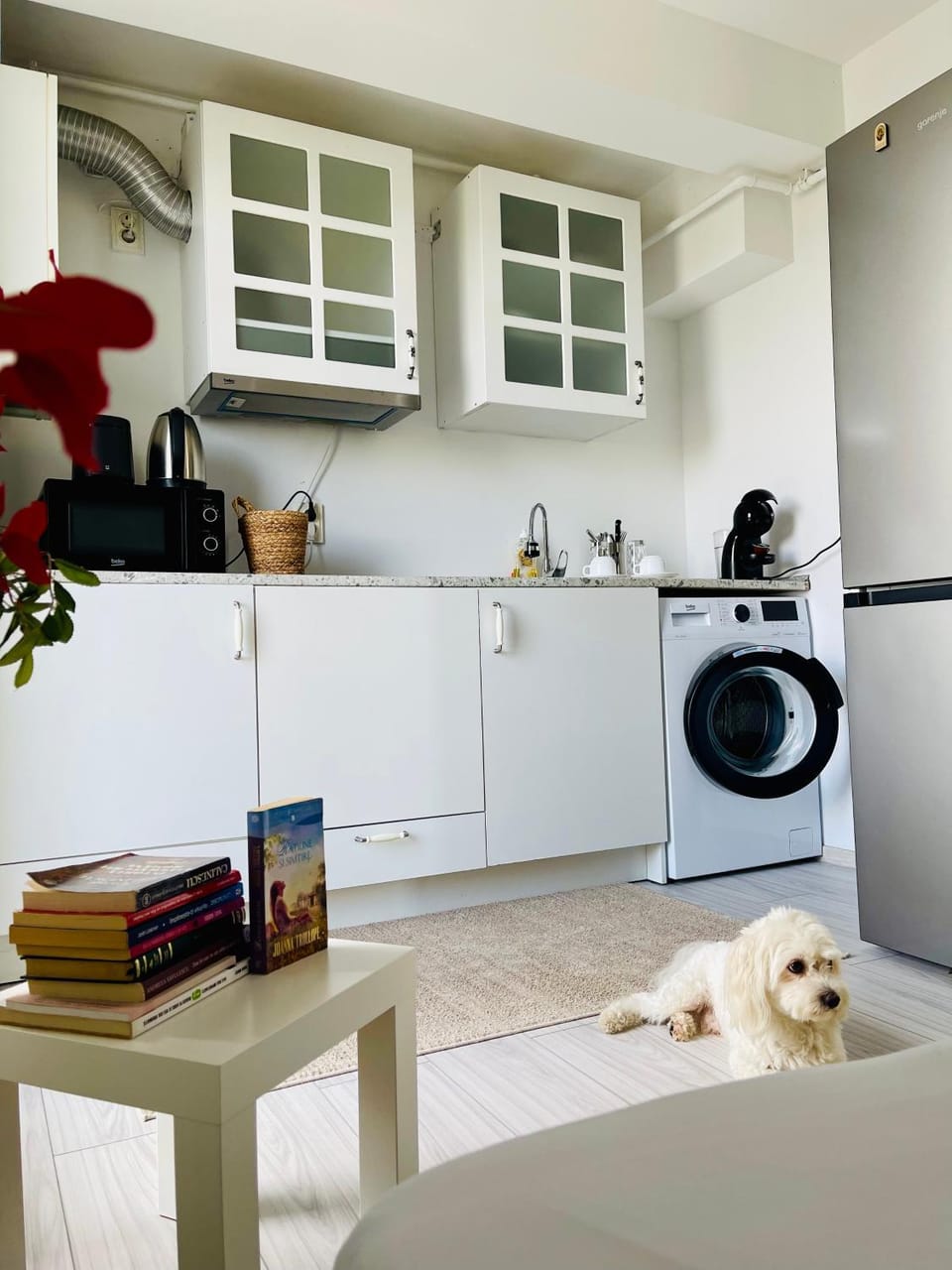 Studio Dumy near Airport Apartment in Romania