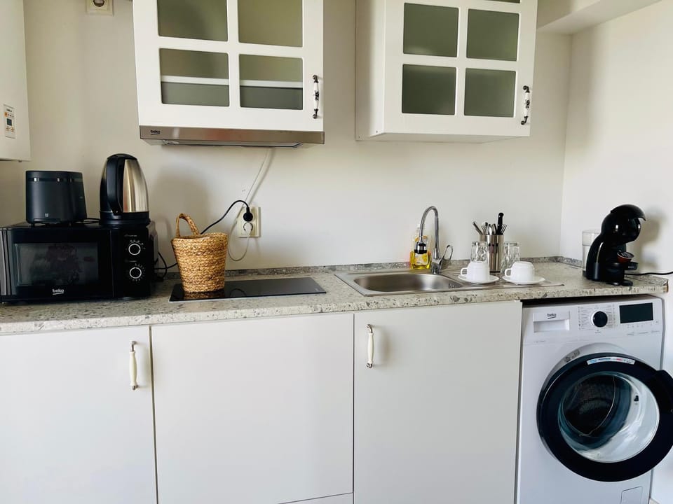 Studio Dumy near Airport Apartment in Romania