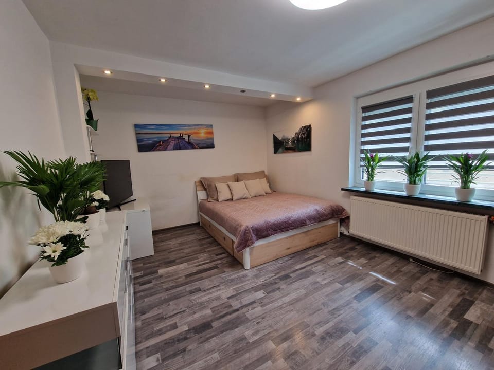 Apartment near Red Bull Ring with garten Vacation rental in Spielberg
