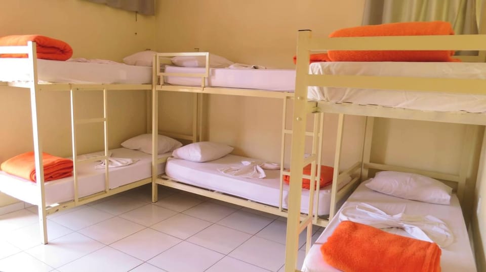 Bed, Photo of the whole room, Bedroom, bunk bed