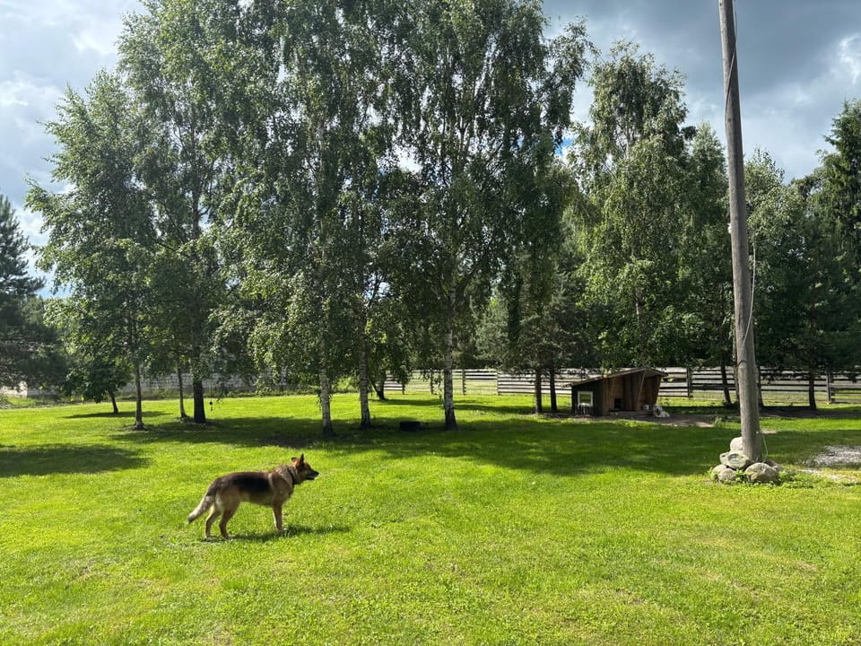 Cozy cabin near Peipsi Cabin in Estonia