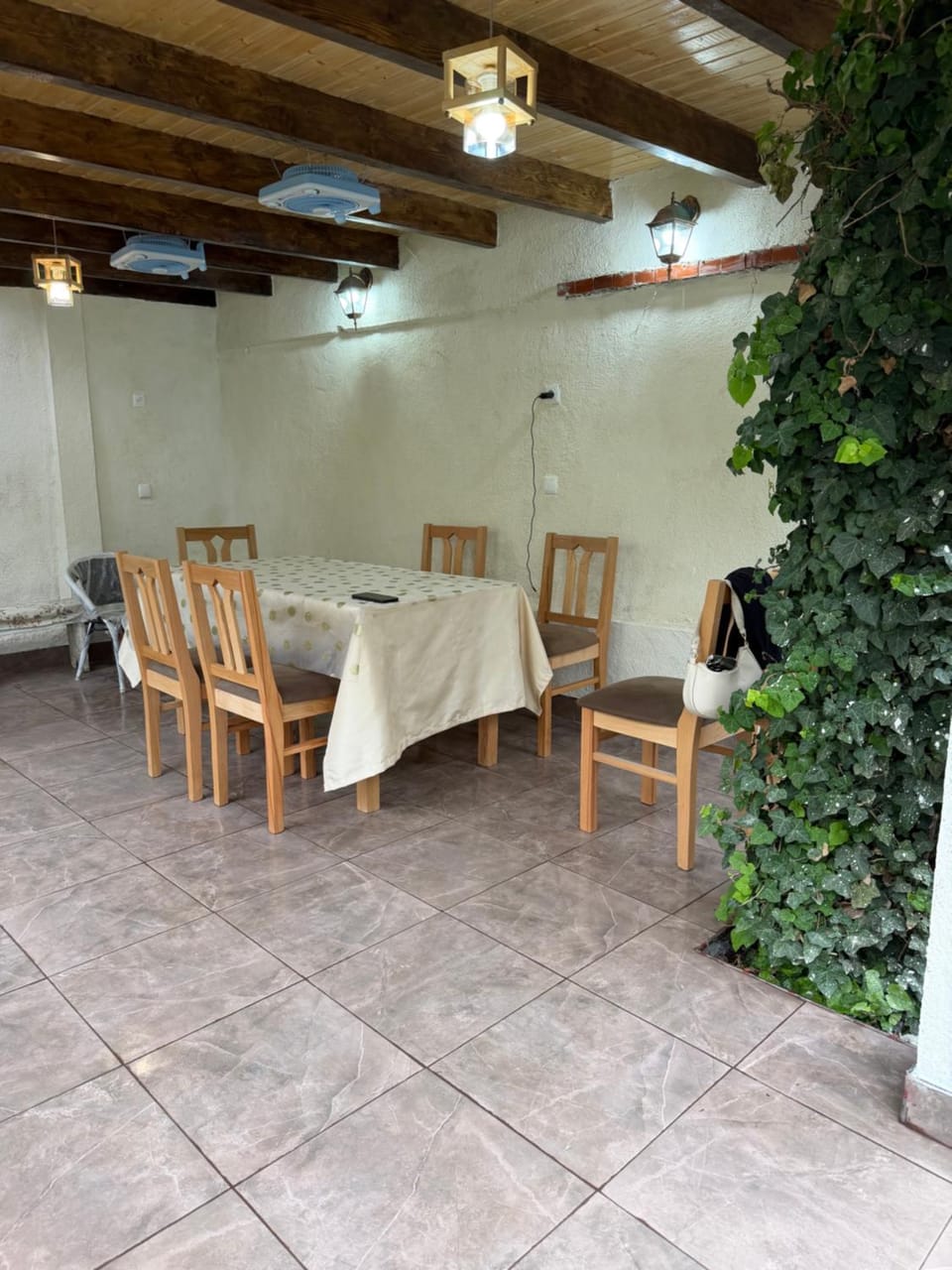 Badri's Winery and House Apartment in Tbilisi, Georgia