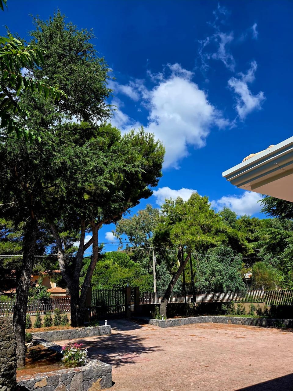 Natural landscape, Garden