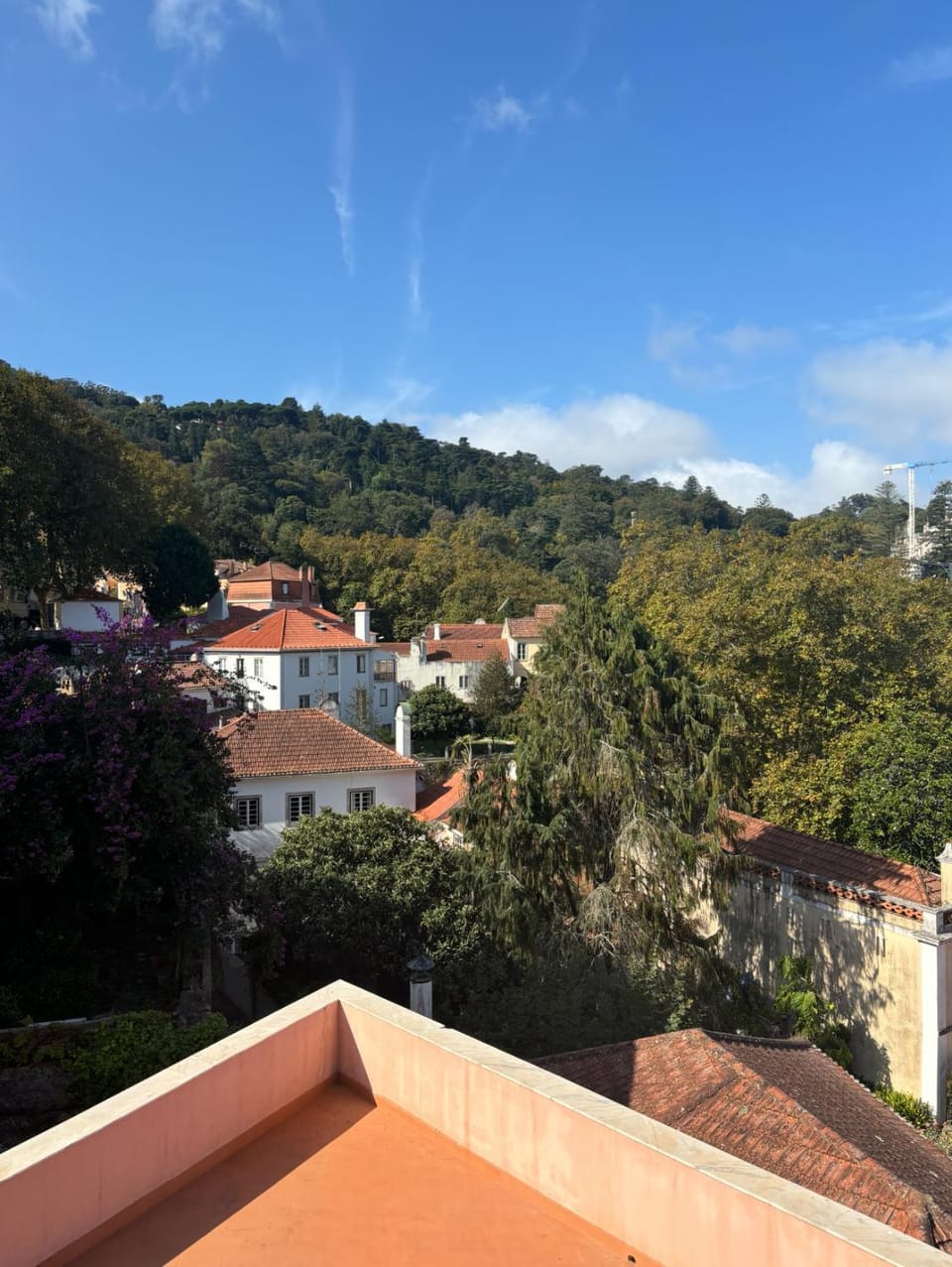 Natural landscape, View (from property/room)