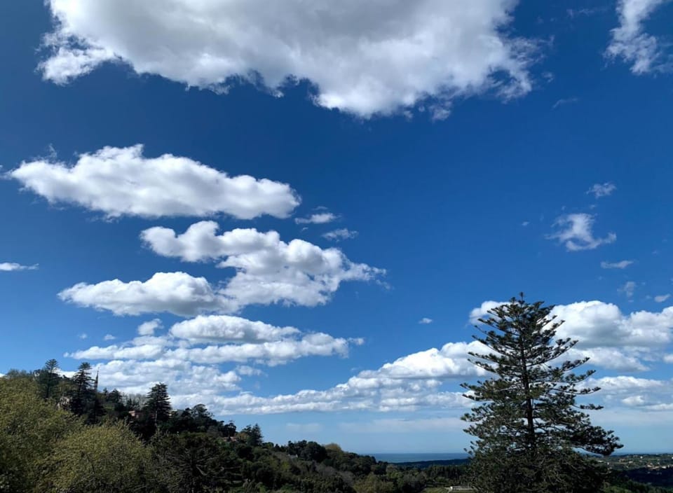 Natural landscape, View (from property/room)
