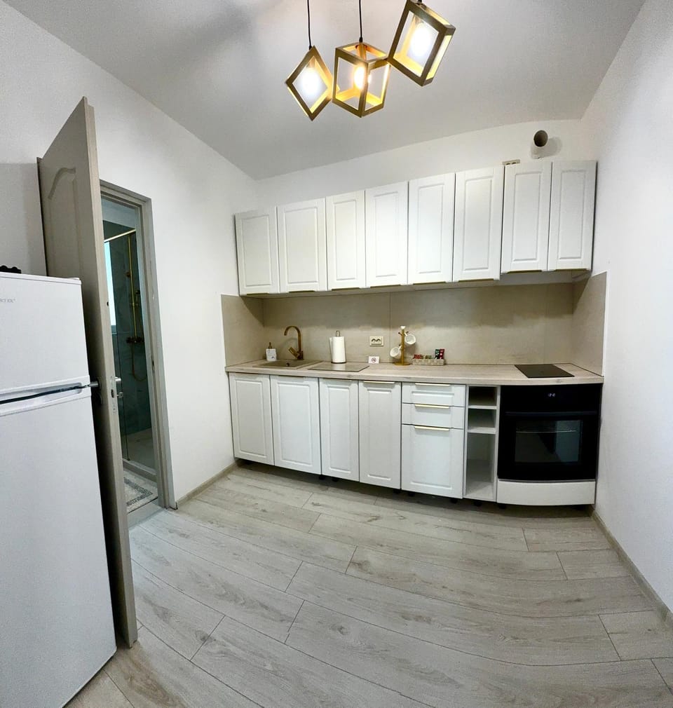Kitchen or kitchenette, oven, stove