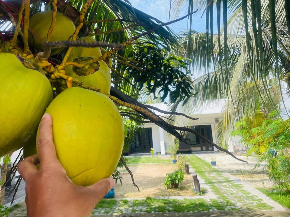 Amor Luse Hotel in Sri Lanka