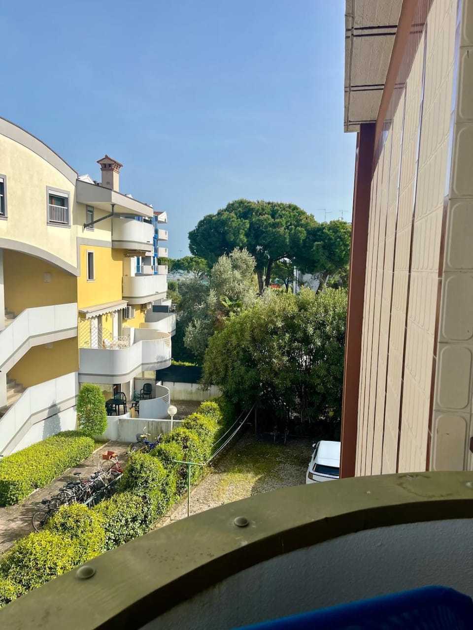 Garden view