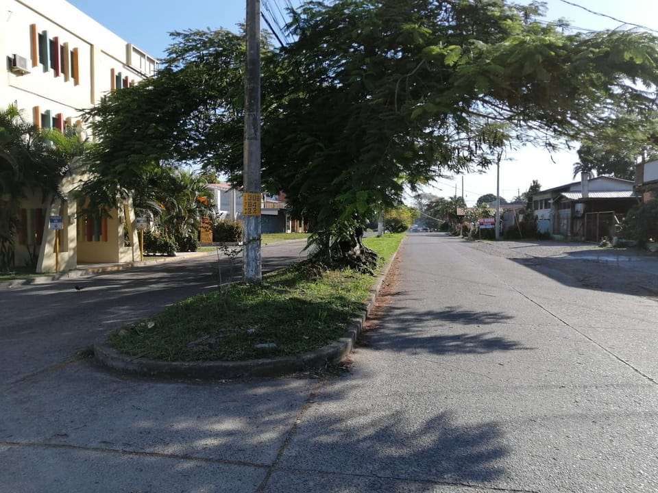 Neighbourhood, Street view