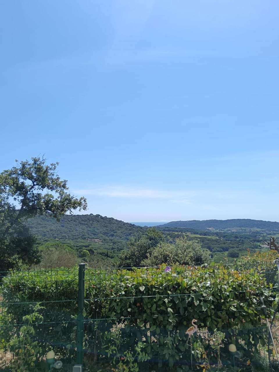 Natural landscape, View (from property/room), Garden view