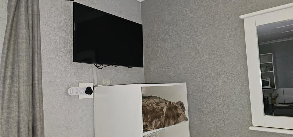TV and multimedia, Evening entertainment