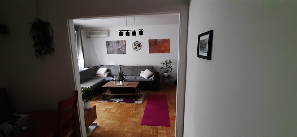 Apartman za najam za potrebe koncerta MP Thompsona Apartment in City of Zagreb