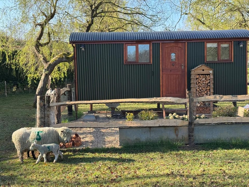 Forest view shepherds hut Hare hut Apartment in Borough of Waverley