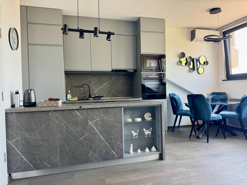 Kitchen or kitchenette, Dining area, oven