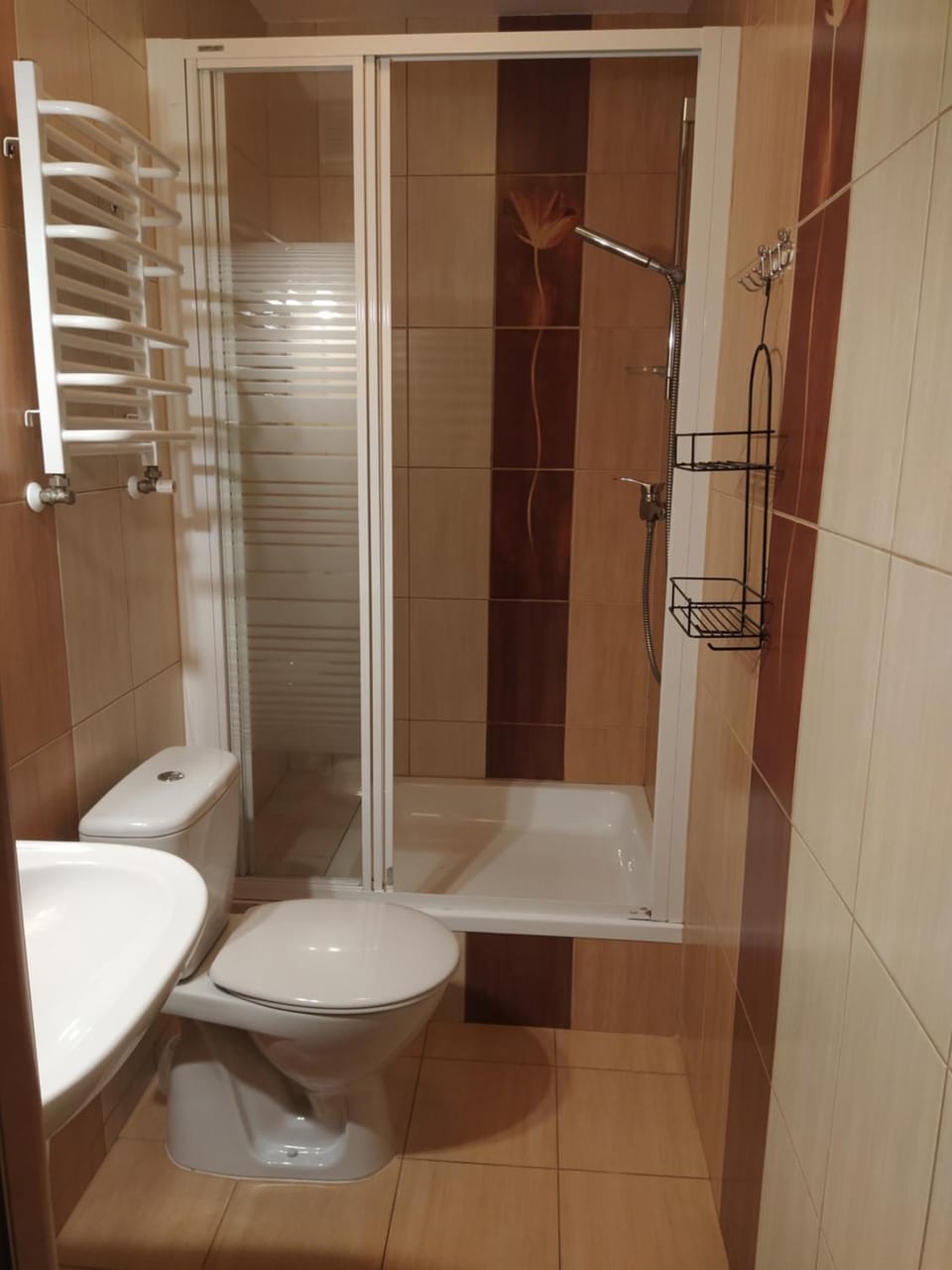Shower, Toilet, Bathroom, towels