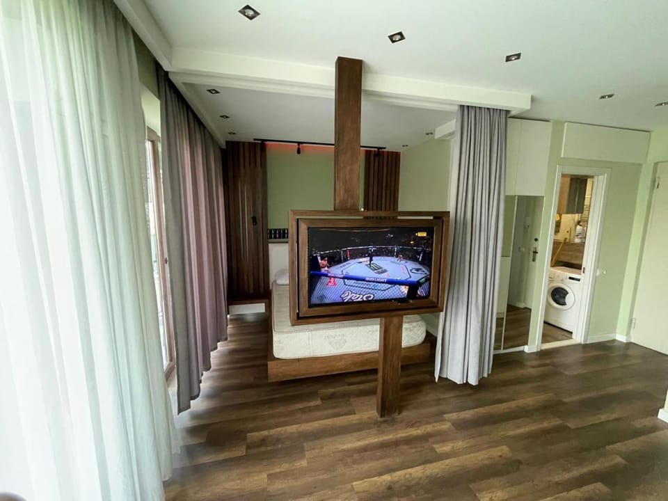 TV and multimedia